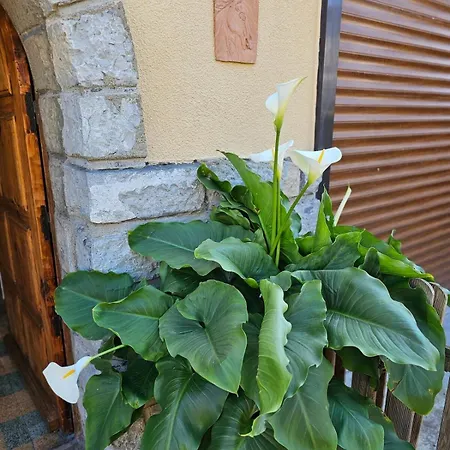 Vakantiehuis L'horizon De La Cite