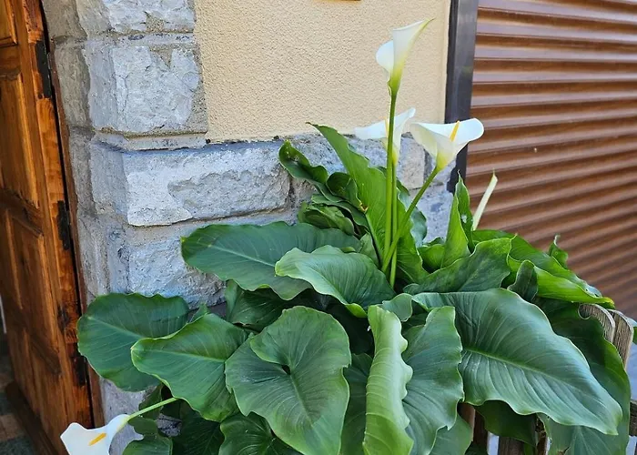 Hébergement de vacances L'horizon De La Cite